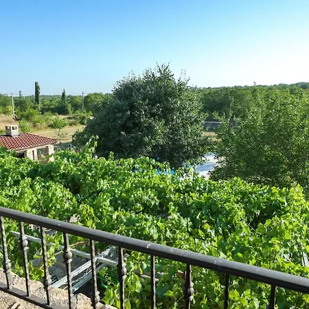 בית נופש My Dalmatia - Mandorla With Private Pool And Jacuzzi *