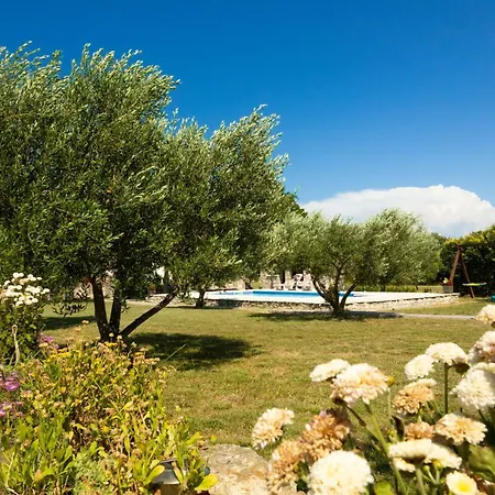 בית נופש My Dalmatia - Mandorla With Private Pool And Jacuzzi